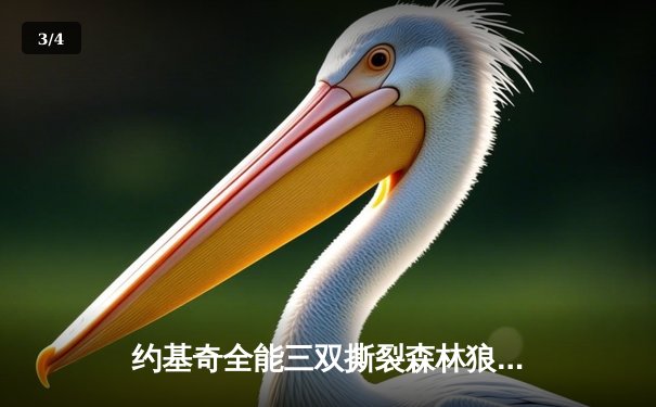 约基奇全能三双撕裂森林狼防线 掘金抢七大战锁定西部决赛席位 - 3